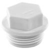 Заглушка резьбовая PPRC НР 1/2" (бел.) Тebo (170/1700)