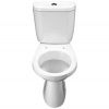 Унитаз Анимо с бачком, белый, 1 кн.арм., косой выпуск, нижн.подв., сиденье полипропилен