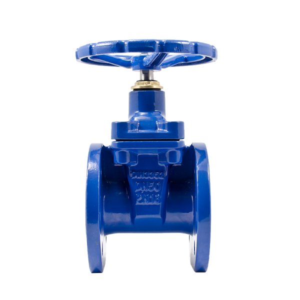 Задвижка "Гранар" серии KR20, Ду 50, Ру10/16 с обрезиненным клином