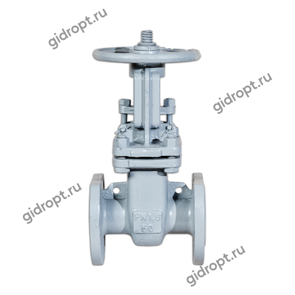 Задвижка 30с41нж1 Ду 50