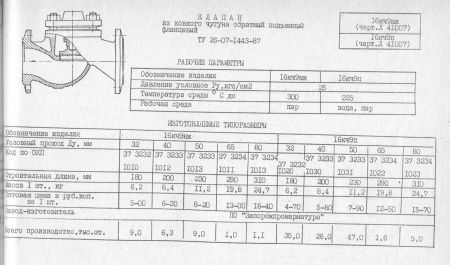 Клапан подъемный 16кч9нж (Л 41007) Ду 50, Ру-25 (фланцевый)