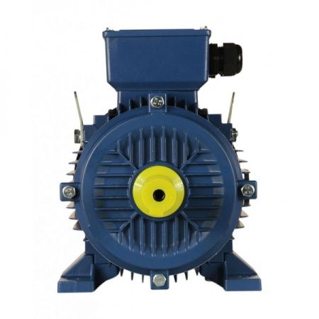 Электродвигатель 3х1000   5АИ 112 MA6 У2, общепромышленный, (IM 1081) лапы, 220/380В