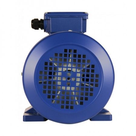 Электродвигатель 4х3000   5АИ 100 S2 У2, общепромышленный, (IM 1081) лапы, 220/380В