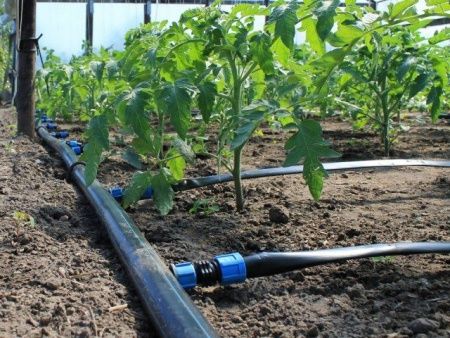 Стартер для ленточного капельного полива, с поджимом Ду 16