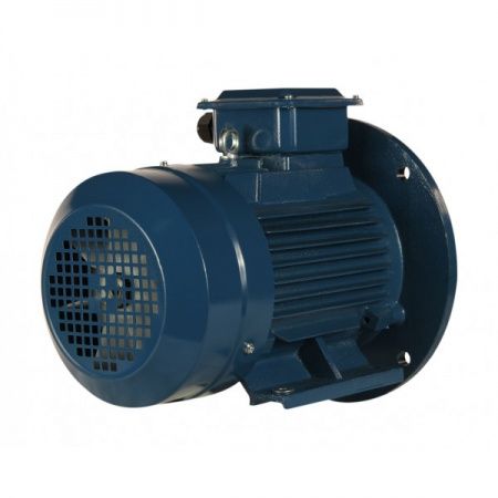 Электродвигатель 3х1000   5АИ 112 MA6 У2, общепромышленный, (IM 2081) лапы+фланец, 220/380В