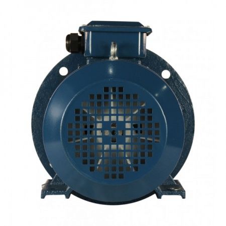 Электродвигатель 3х1000   5АИ 112 MA6 У2, общепромышленный, (IM 2081) лапы+фланец, 220/380В