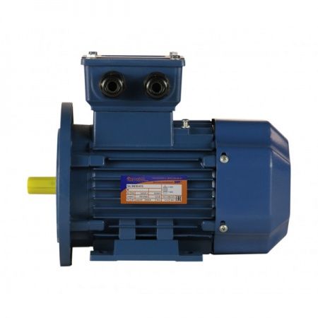 Электродвигатель 0,25х1000   5АИ 63B6 У2, общепромышленный, (IM 2081) лапы+фланец, 220/380В