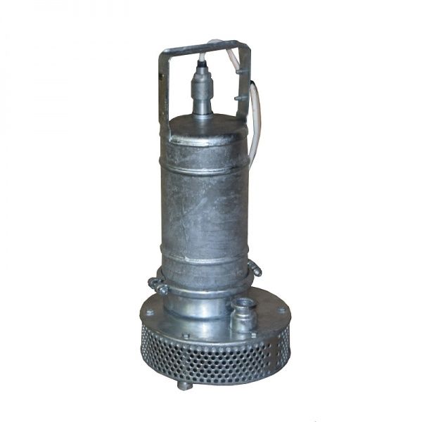 Насос ГНОМ 10/10 220 V