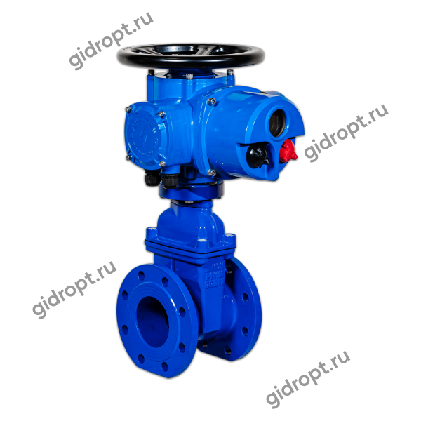 Задвижка 30ч939р Ду 150 Ру10/16 с эл.приводом