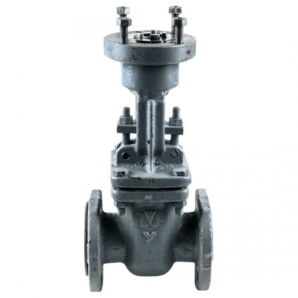 Задвижка под эл.привод 30с941нж Ду 50