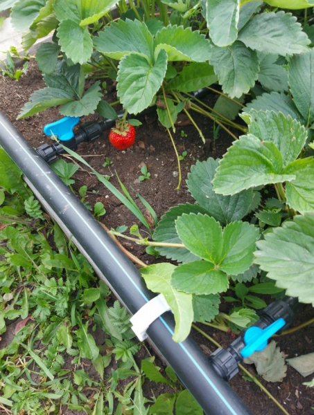 Лента для капельного полива 16 мм, производительность - 1,6 л/час, между отверстиями - 20 см (200м)