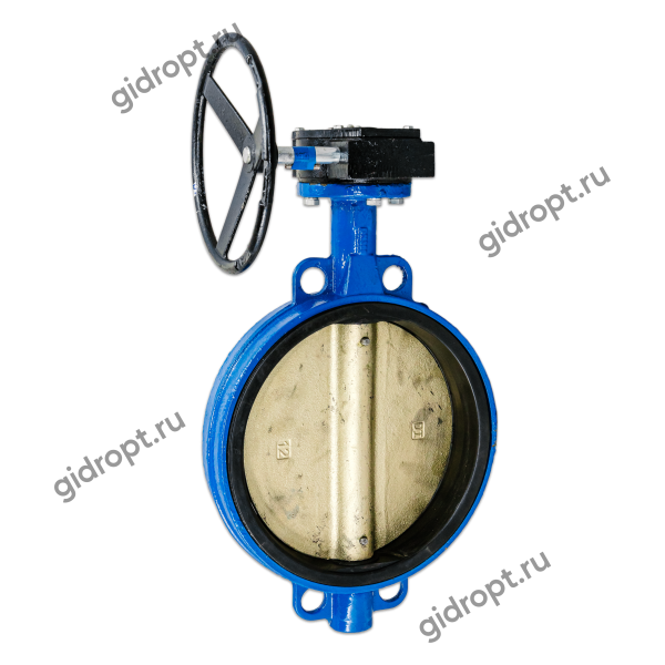 Затвор дисковый Ру10/16 Ду 250, с редуктором (чугунный, поворотный)