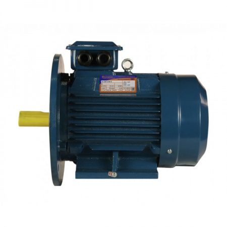 Электродвигатель 3х1000   5АИ 112 MA6 У2, общепромышленный, (IM 2081) лапы+фланец, 220/380В