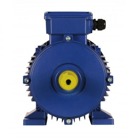 Электродвигатель 4х3000   5АИ 100 S2 У2, общепромышленный, (IM 1081) лапы, 220/380В