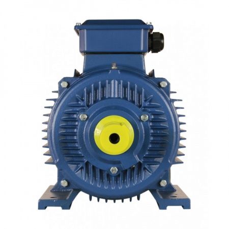 Электродвигатель 15х1500   5АИ 160 S4 У2, общепромышленный, (IM 1081) лапы, 380/660В