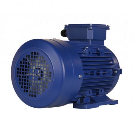 Электродвигатель 4х3000   5АИ 100 S2 У2, общепромышленный, (IM 1081) лапы, 220/380В