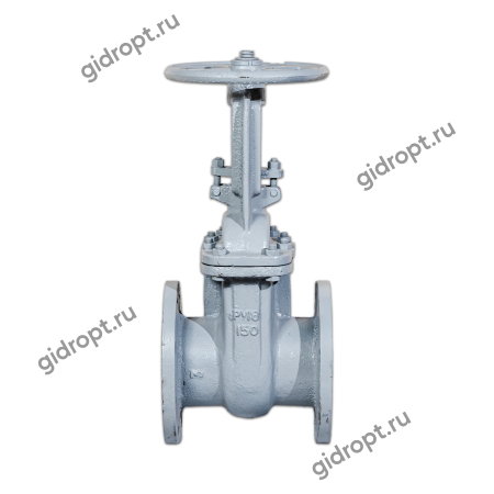 Задвижка 30с41нж1 Ду 100