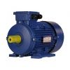 Электродвигатель 4х3000   5АИ 100 S2 У2, общепромышленный, (IM 1081) лапы, 220/380В