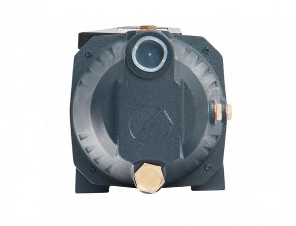 Поверхностный насос JET 100 L (750 Вт, Hmax-43м, Qmax-60 л/мин, корпус-чугун)