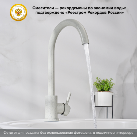 Смеситель РМС для кухни одноручный, гайка, серый, нерж.сталь, SUS124GY-017F