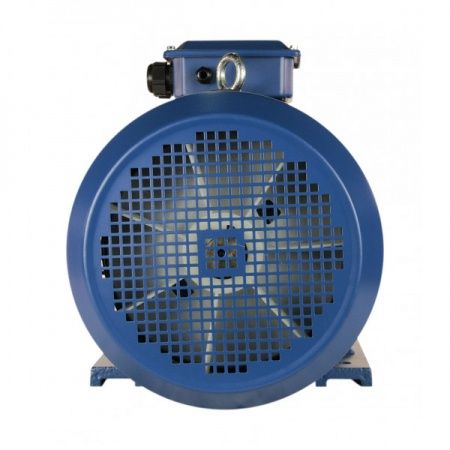 Электродвигатель 15х1500   5АИ 160 S4 У2, общепромышленный, (IM 1081) лапы, 380/660В