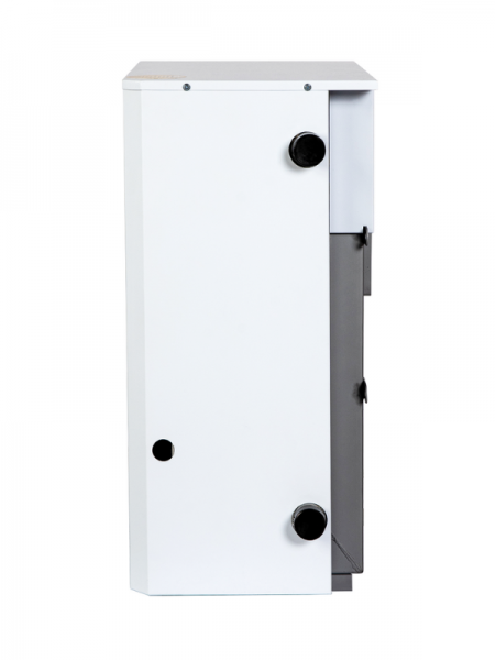 Котел газовый, парапетный "Луч" КСГ-20П (20 кВт, одноконтурный, закрытая камера), труба отдельно