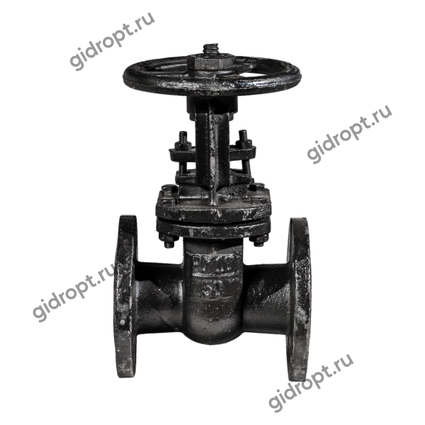 Задвижка 30ч6бр Ду 50