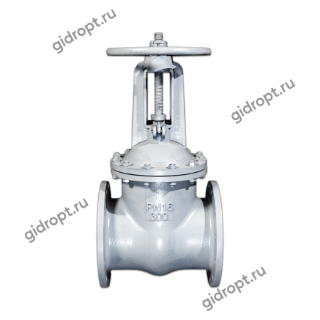 Задвижка 30с64нж Ду 250,  Ру-25,  фланцевая