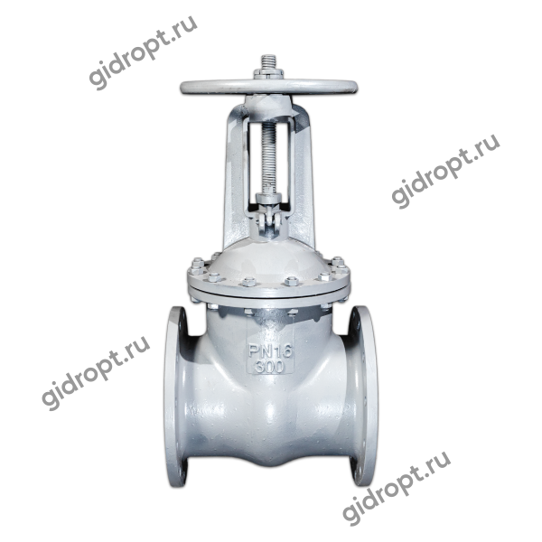 Задвижка 30с41нж1 Ду 300