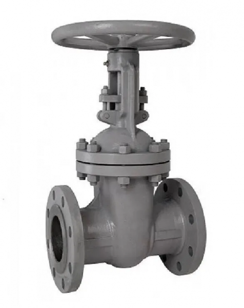 Задвижка 30с64нж Ду 300,  Ру-25,  фланцевая