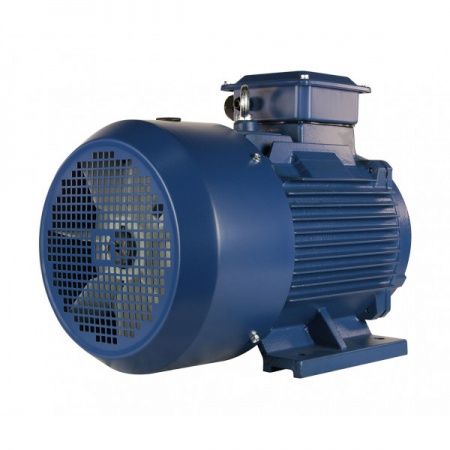 Электродвигатель 15х1500   5АИ 160 S4 У2, общепромышленный, (IM 1081) лапы, 380/660В