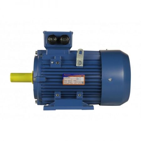 Электродвигатель 3х1000   5АИ 112 MA6 У2, общепромышленный, (IM 1081) лапы, 220/380В