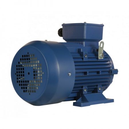 Электродвигатель 3х1000   5АИ 112 MA6 У2, общепромышленный, (IM 1081) лапы, 220/380В
