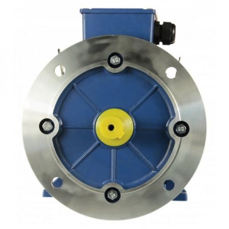 Электродвигатель 3х1500   5АИ 100 S4 У2, общепромышленный, (IM 2081) лапы+фланец, 220/380В