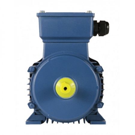 Электродвигатель 0,37х3000   5АИ 63A2 У2, общепромышленный, (IM 1081) лапы, 220/380В