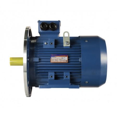 Электродвигатель 11х3000   5АИ 132 M2 У2, общепромышленный, (IM 2081) лапы+фланец, 220/380В