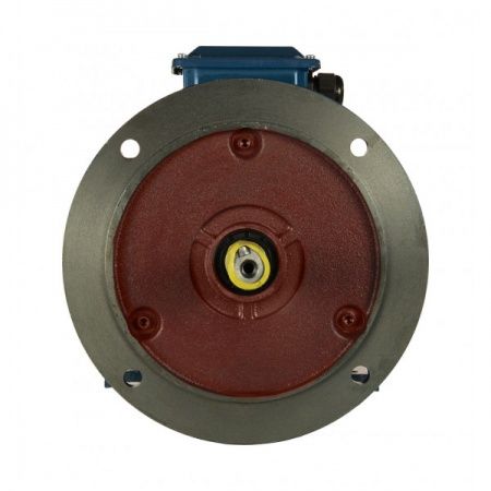 Электродвигатель 3х1000   5АИ 112 MA6 У2, общепромышленный, (IM 2081) лапы+фланец, 220/380В