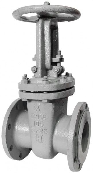 Задвижка 30с41нж1 Ду 100 ЛМЗ,г. Семенов)