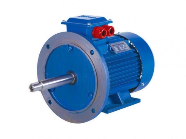 Электродвигатель 4х3000   5АИ 100 S2 У2, общепромышленный, (Ж - длиный вал) лапы+фланец, 220/380В