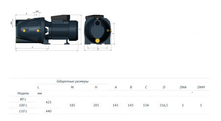 Поверхностный насос JET 100 L (750 Вт, Hmax-43м, Qmax-60 л/мин, корпус-чугун)