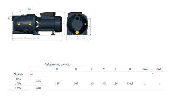 Поверхностный насос JET 100 L (750 Вт, Hmax-43м, Qmax-60 л/мин, корпус-чугун)