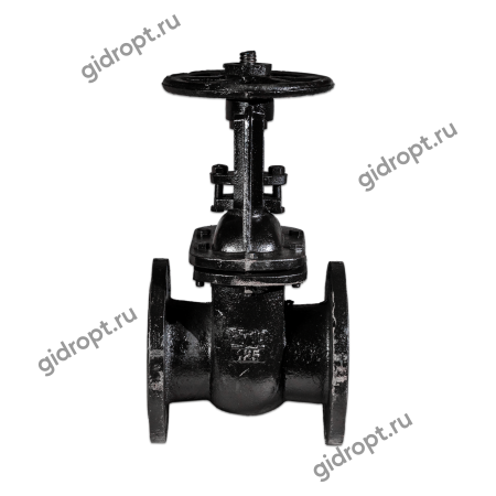 Задвижка 30ч6бр Ду 125