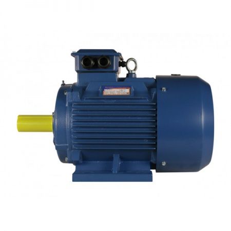 Электродвигатель 15х1500   5АИ 160 S4 У2, общепромышленный, (IM 1081) лапы, 380/660В