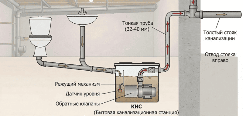 Урок 4.2. Слайд 2(1)(1).png